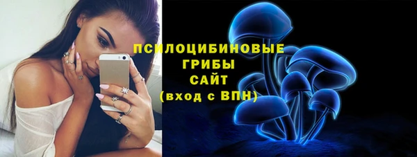 гидропоника Куйбышев