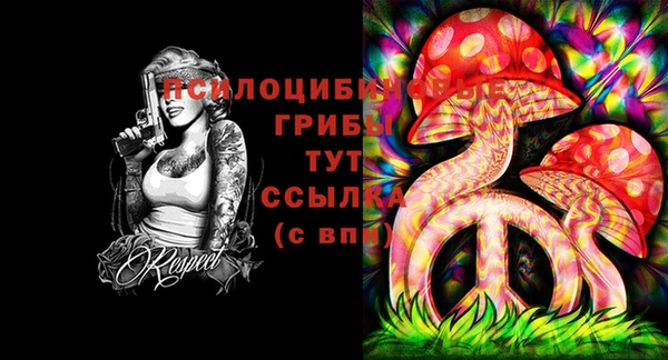 дживик Ладушкин