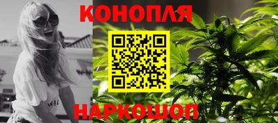 mdpv Гатчина
