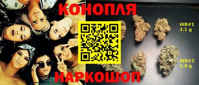 молекула духа Гай