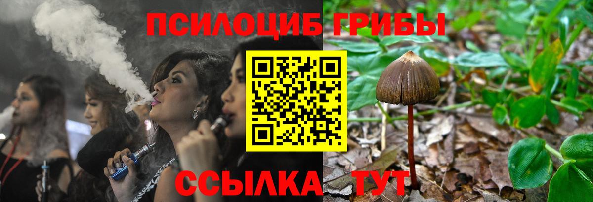 Псилоцибиновые грибы Cubensis Мелеуз